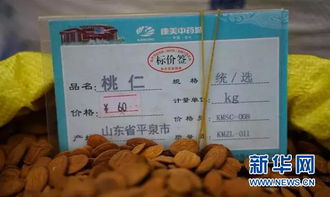 華佗故里 探訪康美 亳州 中藥材市場