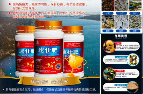 華佗醫藥水產促生長解決方案 助力海參、蝦蟹與魚類高效養殖